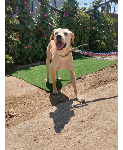 MARLEY