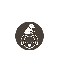 Chiens avec handicap