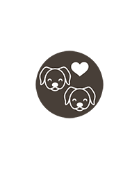 Chiens ok chiens