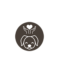Chiens à parrainer