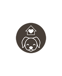 Chiens adoptés