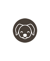 Chiens adultes